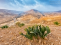 Landschaft_Israel_5DSR_20406