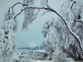Vortrag Bosboom: Winter im Nationalpark