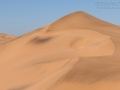 Gelbe Düne der Namib / Yellow dune of the Namib