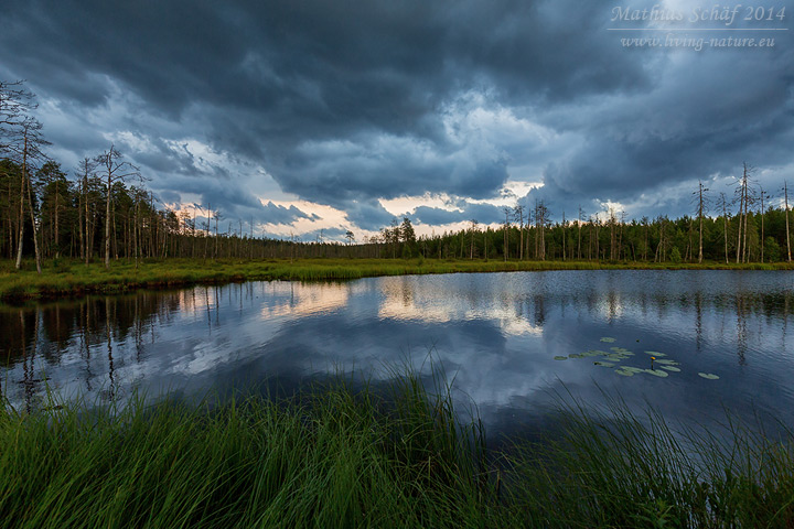 Landschaft Finnland, scenery finland
