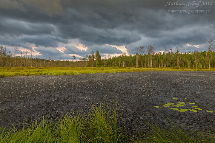 Landschaft Finnland, scenery finland