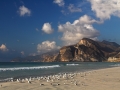 Landschaft Oman, Landscape Oman