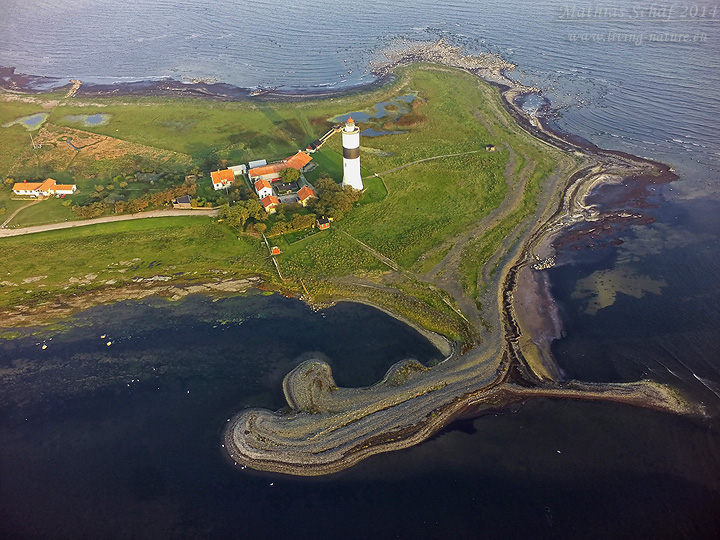 Landschaft Schweden, Ottenby bird observatory