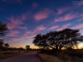 Landschaft Namibia, scenery Namibia